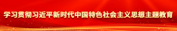 天天淫插影视学习贯彻习近平新时代中国特色社会主义思想主题教育